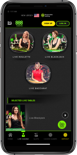 Casino App Image