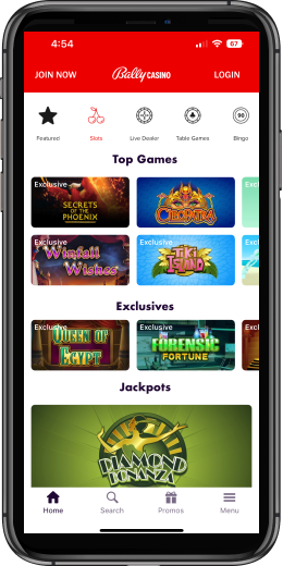 Casino App Image