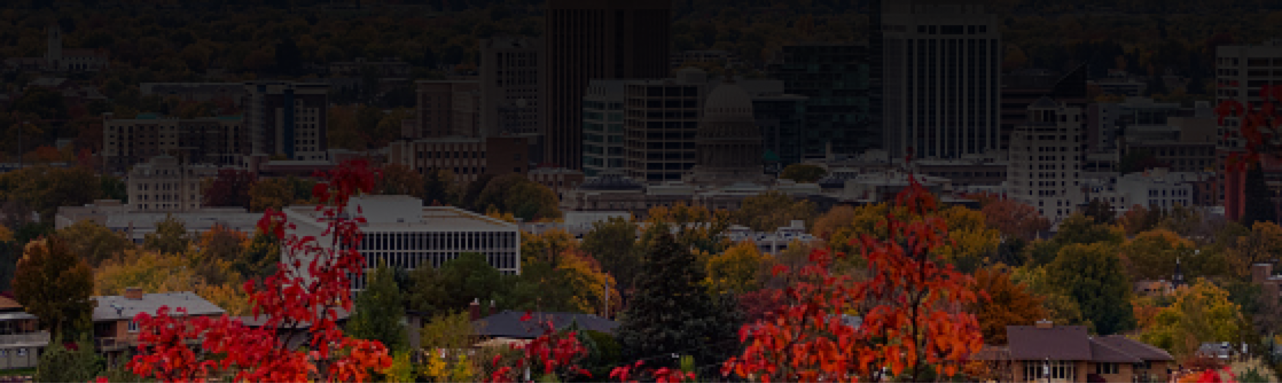 Idaho State Review Banner