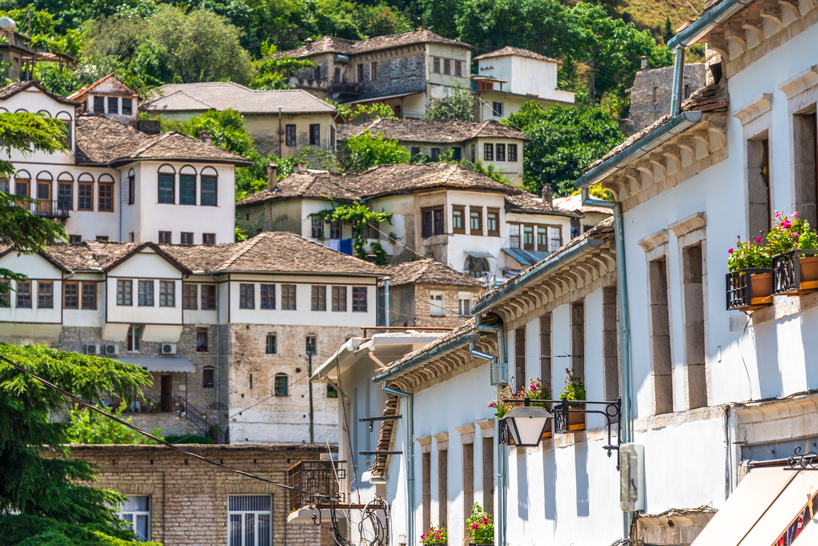 Image may contain Nature Outdoors Countryside Neighborhood Rural Village Plant Architecture Building and Monastery