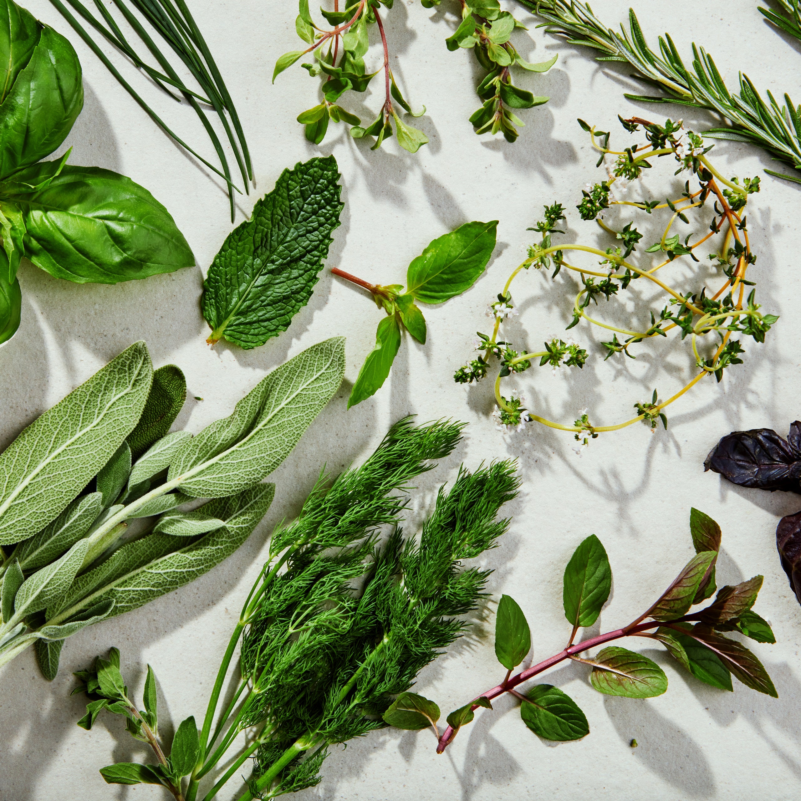 14 Types of Fresh Herbs and How to Cook With Them