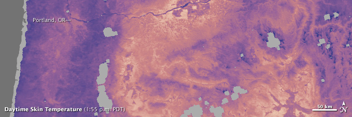 Map of daytime surface temperatures in the Pacific Northwest.