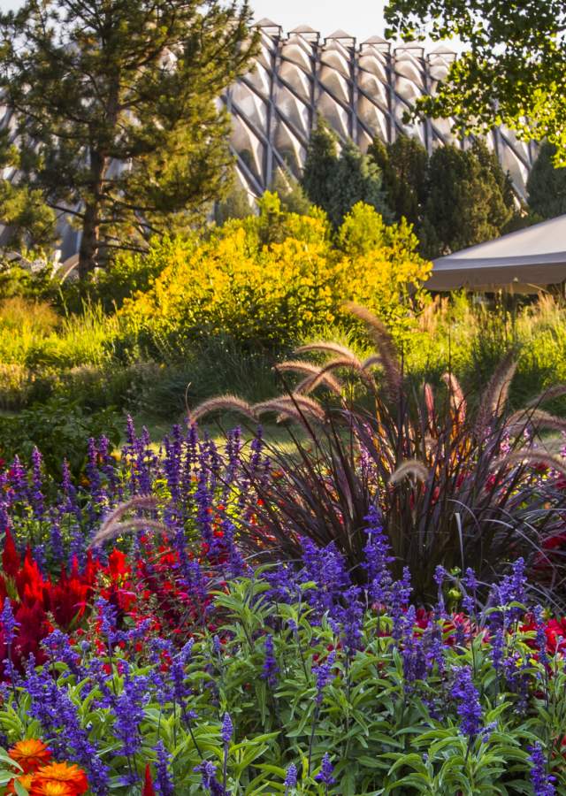 Denver Botanic Gardens