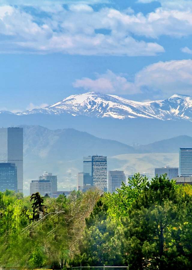 denver-skyline-trees-snowcapped-mountains