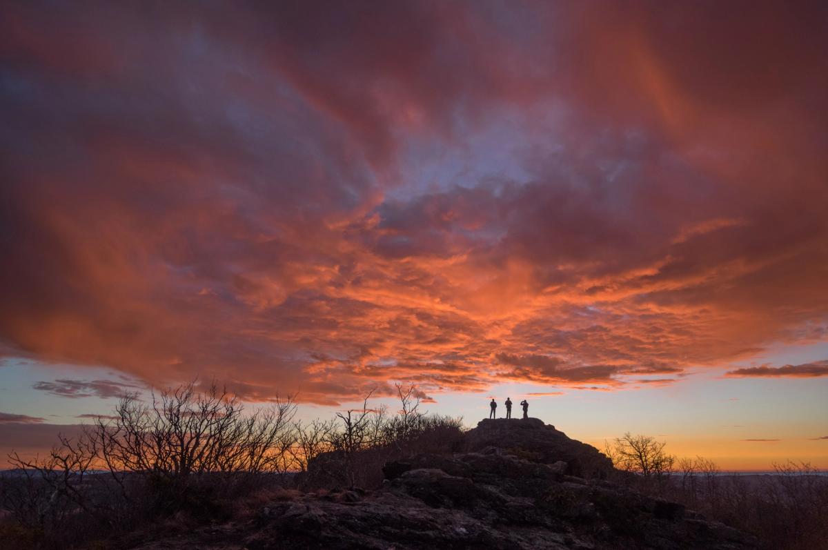 Buffalo Mountain Natural Area Preserve