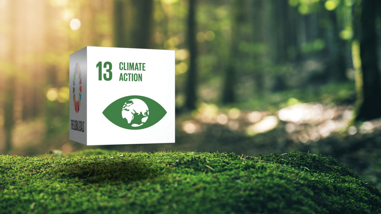 Sustainable Development 13 Climate Action in Moss Forrest Background 17 Global Goals Concept Cube Design