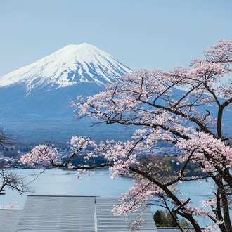 Trips to Take From Tokyo: 8 Destinations You Can Reach in Under 3 Hours