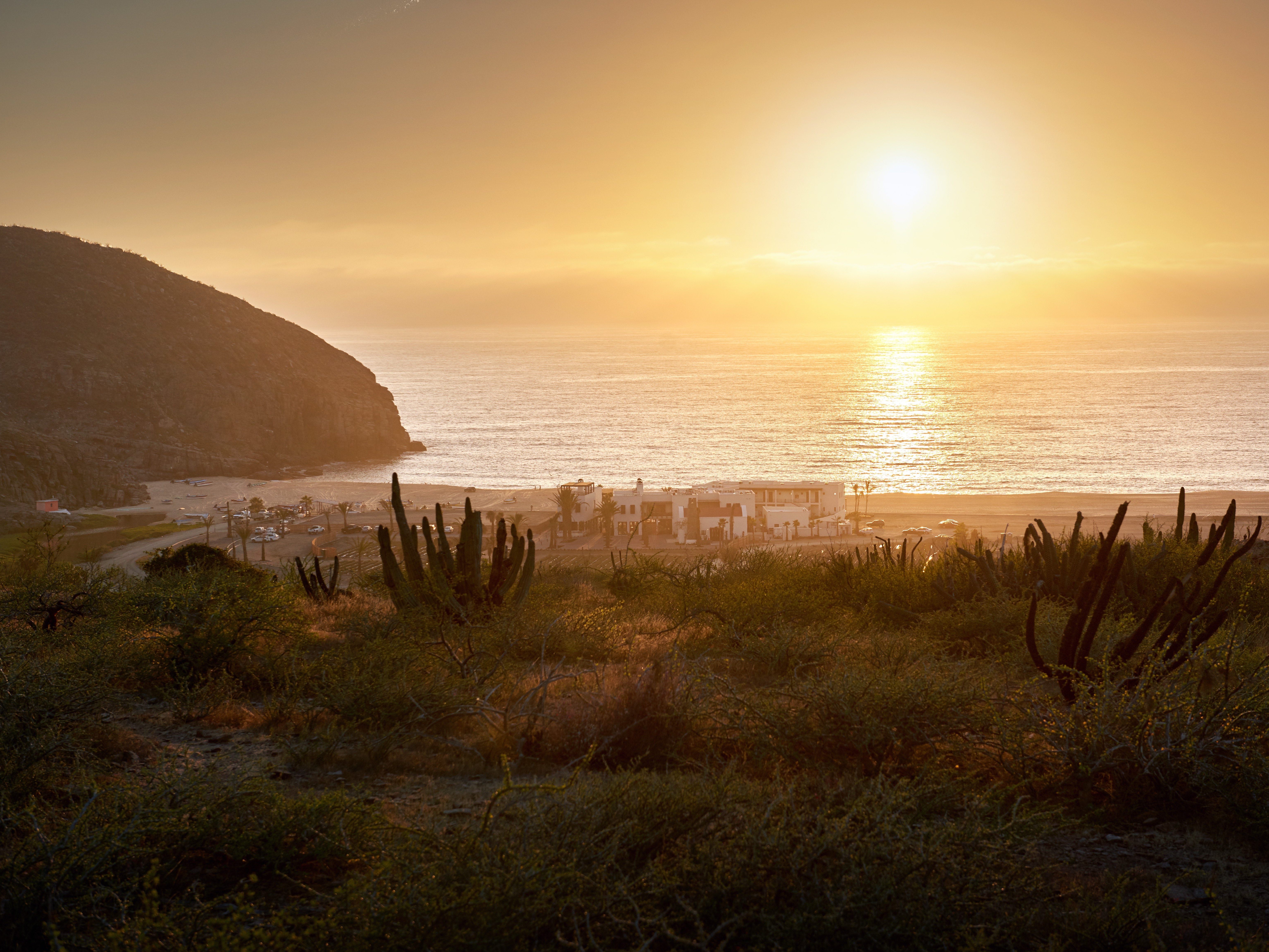 Where to Go in Todos Santos, Mexico for a Tranquil Beach Getaway