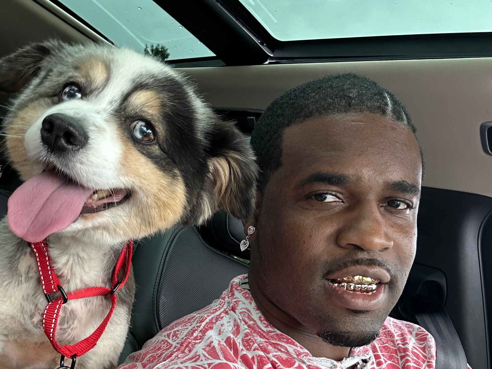 The Story of Ferg and His Australian Shepherd, KrasH, Could Be a Movie