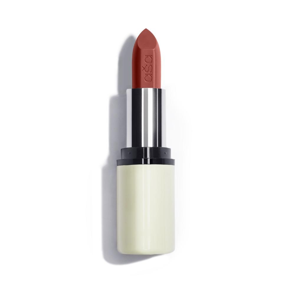 Cosmetics Lipstick nude lipsticks