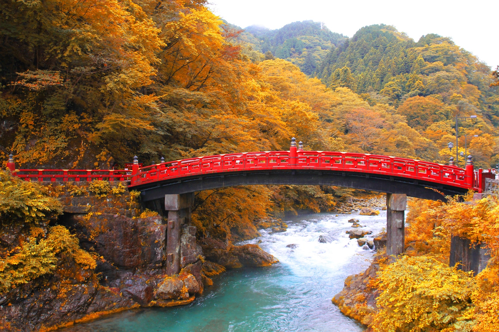 Image may contain Nature Outdoors Scenery and Autumn