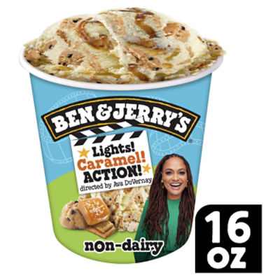 Ben & Jerry's Non-Dairy Lights! Caramel! Action!™ Vanilla Frozen Dessert 16 oz