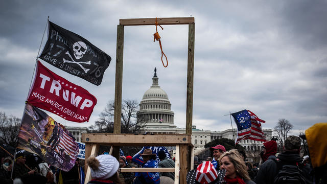 "Stop the Steal" rally 