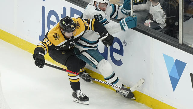 Sharks Bruins Hockey 