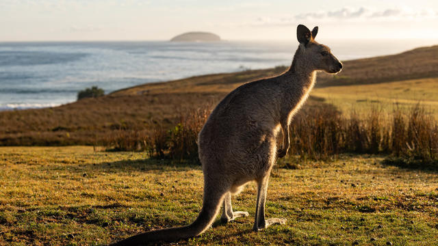 Australia's East Coast Gets Into Summer Mode 