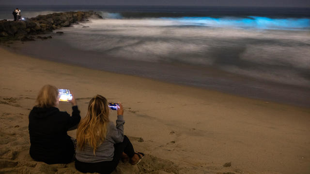 Bioluminescence in Orange County 