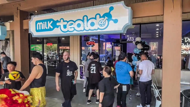 Milk Tea Lab in Concord 