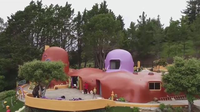 Flintstone House in Hillsborough 