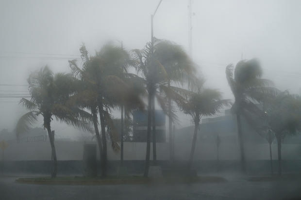 Palm trees move during heavy winds and rain from Hurricane Beryl in Cancun, Mexico, July 5, 2024. 