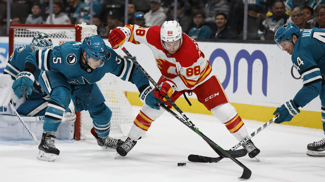 Flames Sharks Hockey 