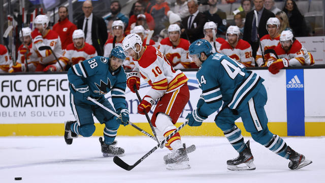 Flames Sharks Hockey 