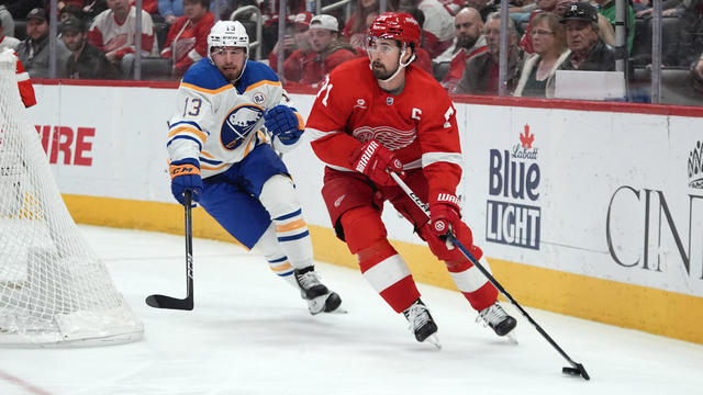 Sabres Red Wings Hockey 