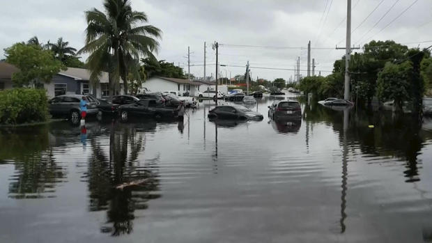 This aerial view taken from video shows multiple cars stranded on a road in northeast Miami-Dade County, Florida, June 13, 2024. 