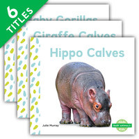 Cover: Baby Animals Set 2