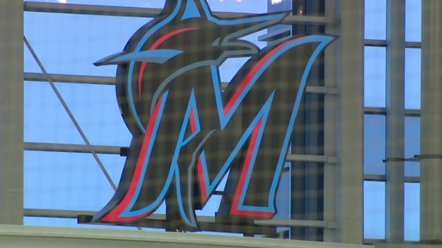 Marlins-Park-Netting.jpg 