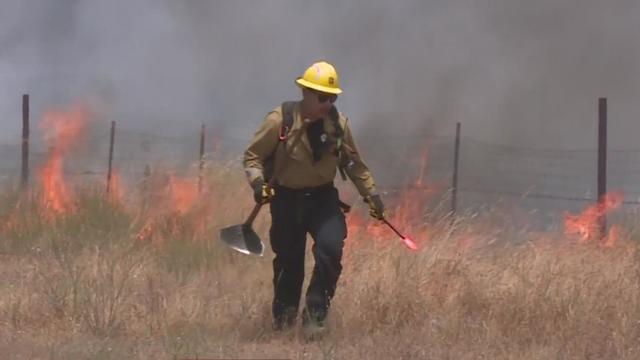 wildland-firefighter.jpg 