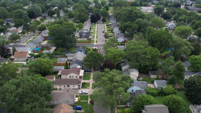 Ferndale residents targeted with BB guns; police investigate 