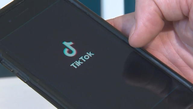 TikTok app on a cell phone 