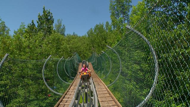 4p-sot-alpine-coaster-wcco5tvk.jpg 