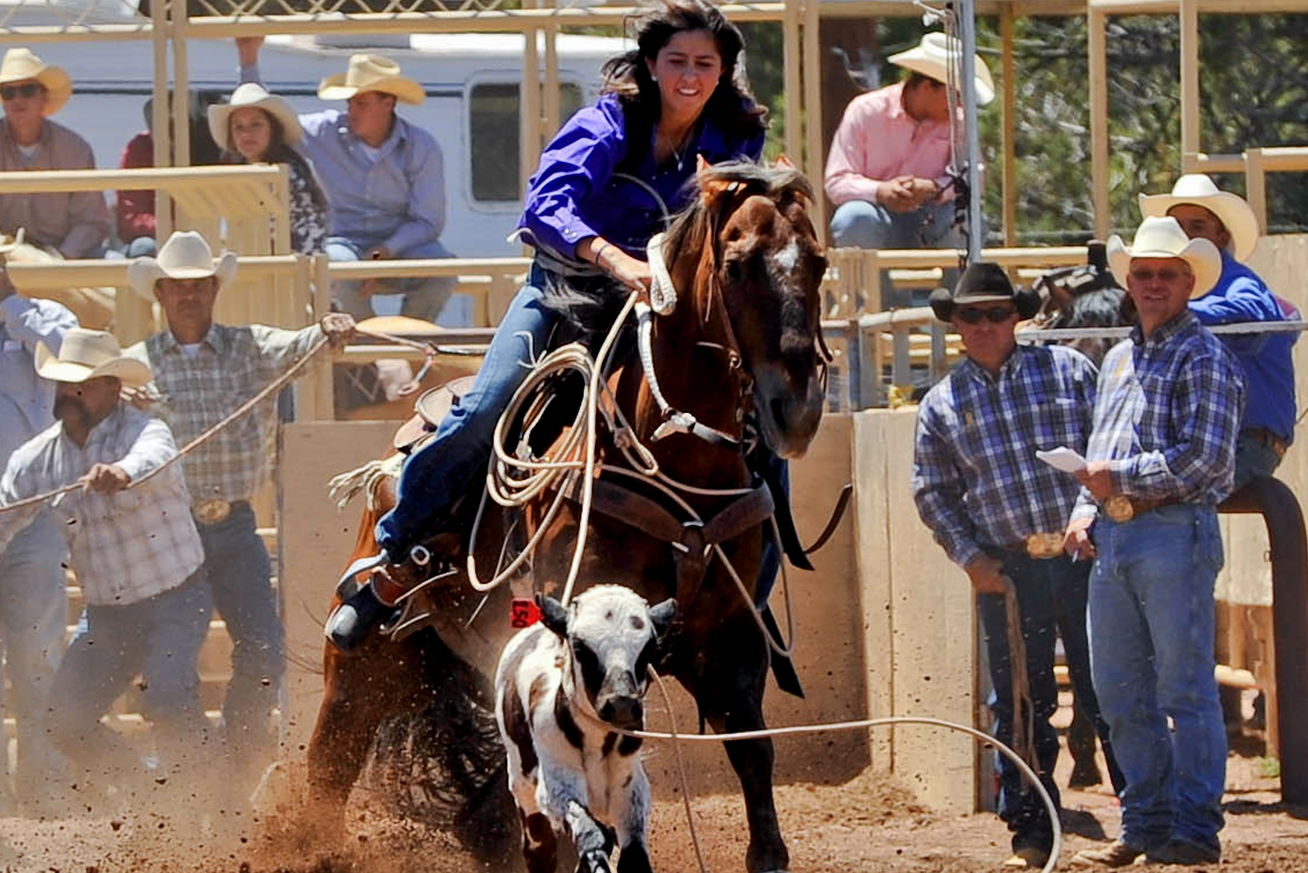 Cowgirl cattle roping at the rodeo