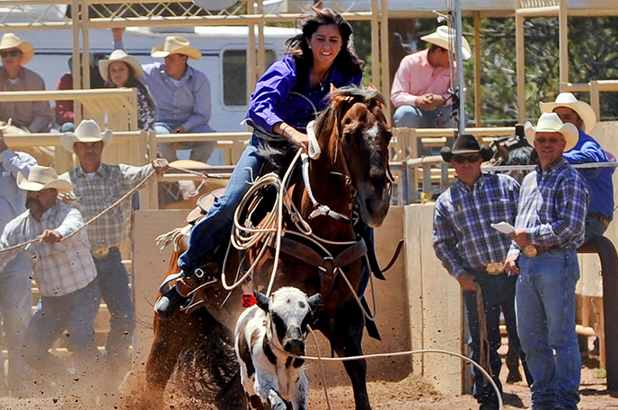 Cowgirl cattle roping at the rodeo