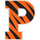 Princeton Tigers