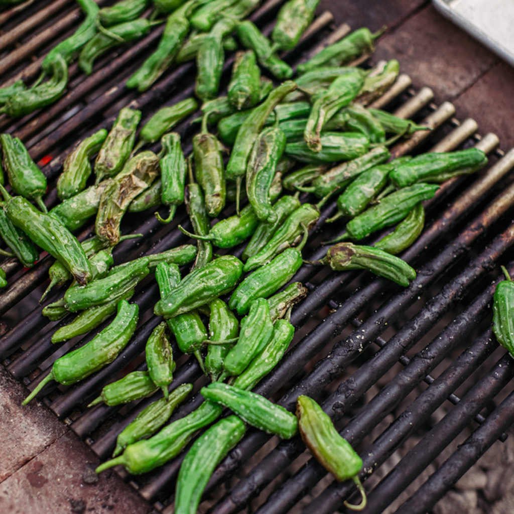 shishito-peppers-photo-square-1200x1200