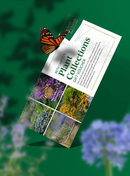 £115 Plant Collections Gift Voucher