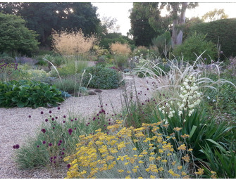 The Autumn Gravel Garden