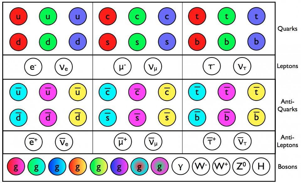 standard model color