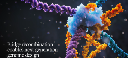 Scientists Discover Next-Generation System for Programmable Genome Design