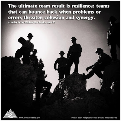 The ultimate team result is resilience: teams that can bounce back when problems or errors threaten cohesion and synergy. - Leading in the Wildland Fire Service, p. 55)