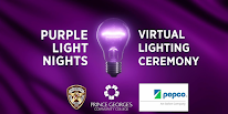 2021 Virtual Purple Light Nights Lighting Ceremony