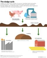 The sludge cycle