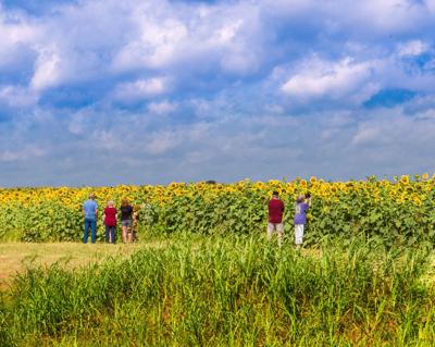 Explore Louisiana with this New Travel Tool