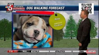 dogwalking forecast 6.20.24.JPG