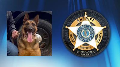 Fulton County Sheriff's Office K-9 Shogun