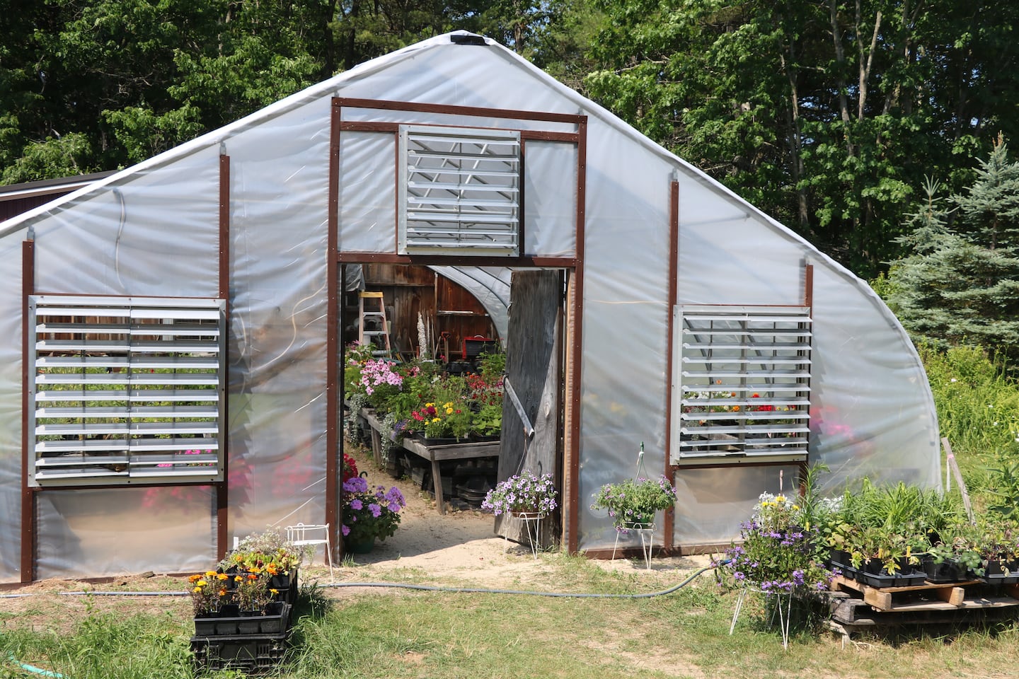 Todd Reed said the team of volunteers stripped rotten wood off the frame of the greenhouse and cut two pieces of 40-foot plastic to drape over the frame. 