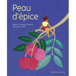 Peau d’épice - Livres pour enfants