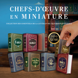 Les chefs d'œuvre de la littérature en miniature